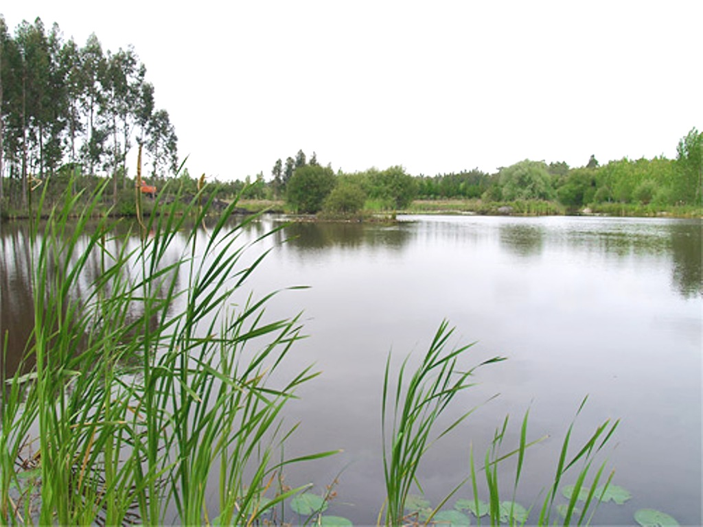 Laguna de los Coadiçais o de los Cedros